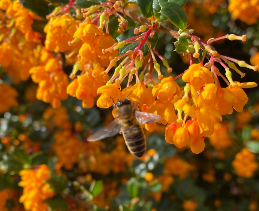 Yes, yes but of&nbsp;course